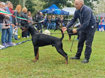  10° TROFEO MARGHERITA BUZZI 2024 Boffalora Ticino Sopra (VA) 6/10/24